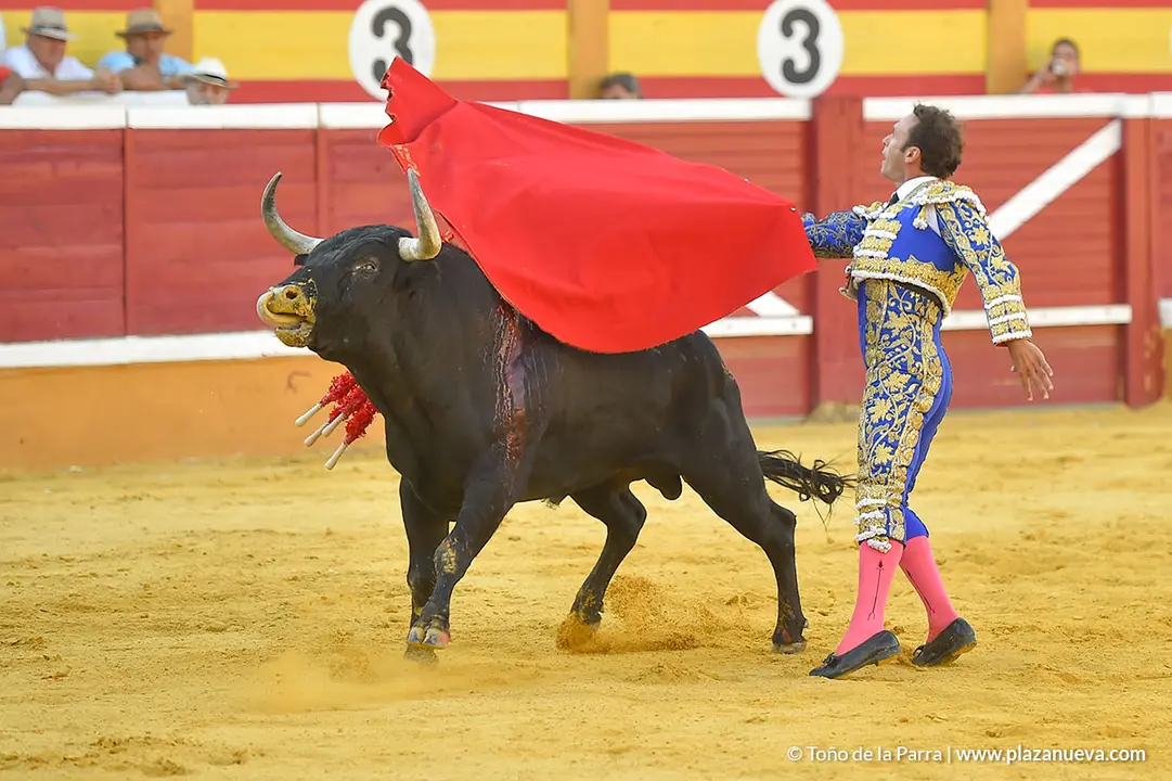 Corrida Toros d&iacute;a 25, Fiestas de Tudela 2022 - 24