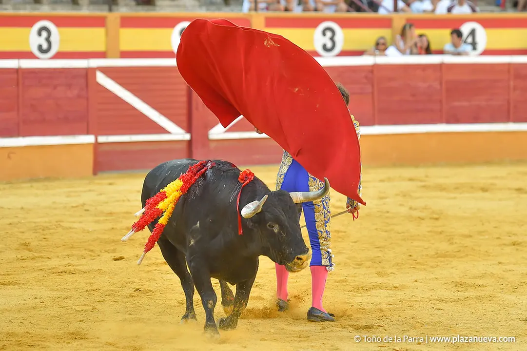 Corrida Toros d&iacute;a 25, Fiestas de Tudela 2022 - 25
