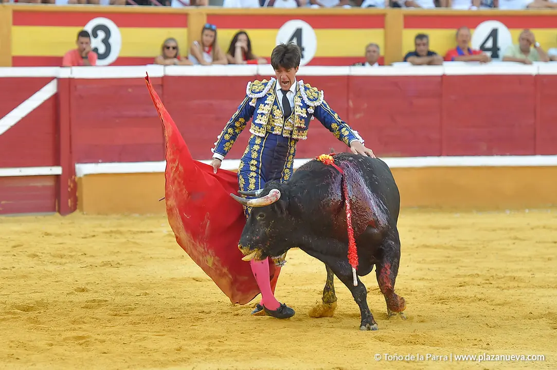 Corrida Toros d&iacute;a 25, Fiestas de Tudela 2022 - 27
