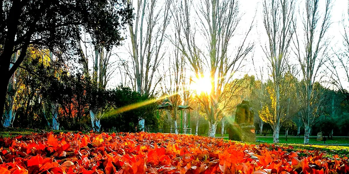 Parque Central Ejea