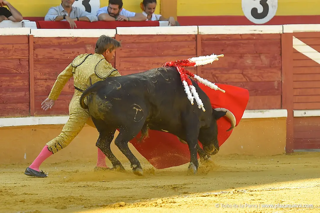 Corrida Toros d&iacute;a 30, Fiestas de Tudela 2022 - 02