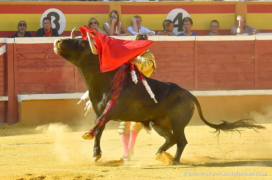 Corrida Toros d&iacute;a 30, Fiestas de Tudela 2022 - 03