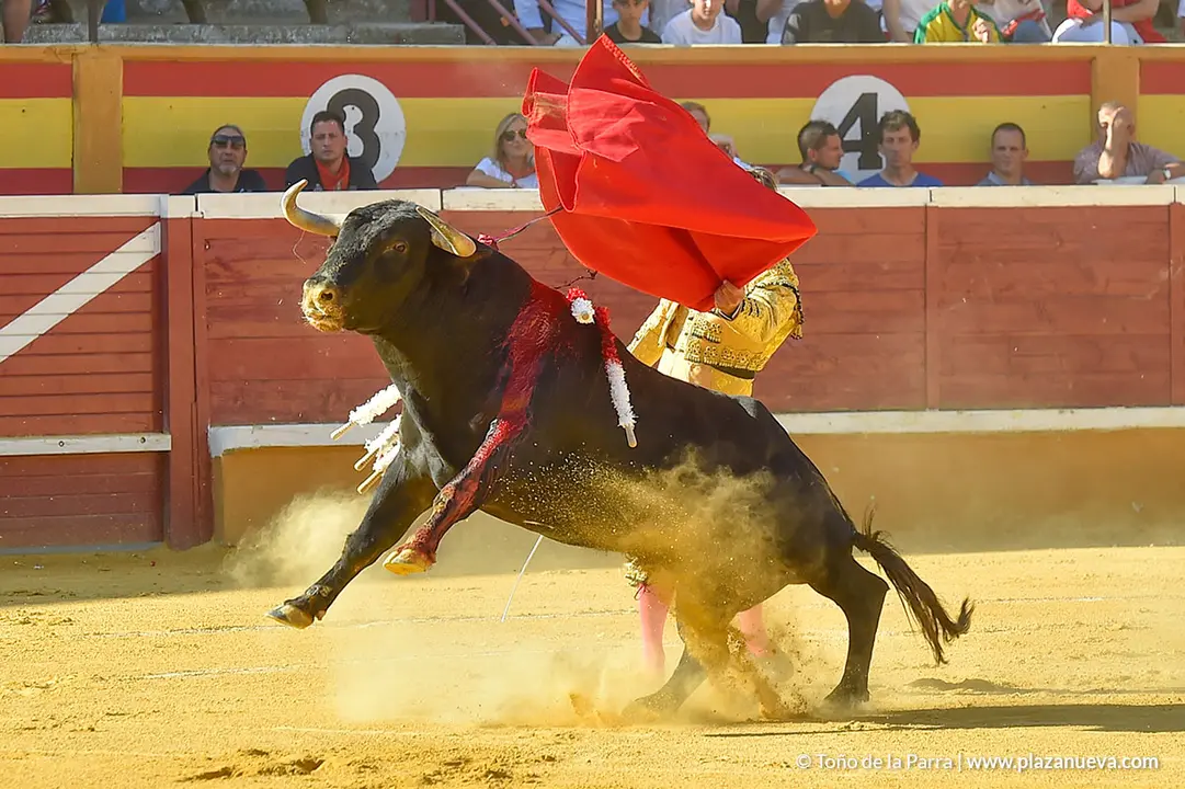 Corrida Toros d&iacute;a 30, Fiestas de Tudela 2022 - 04