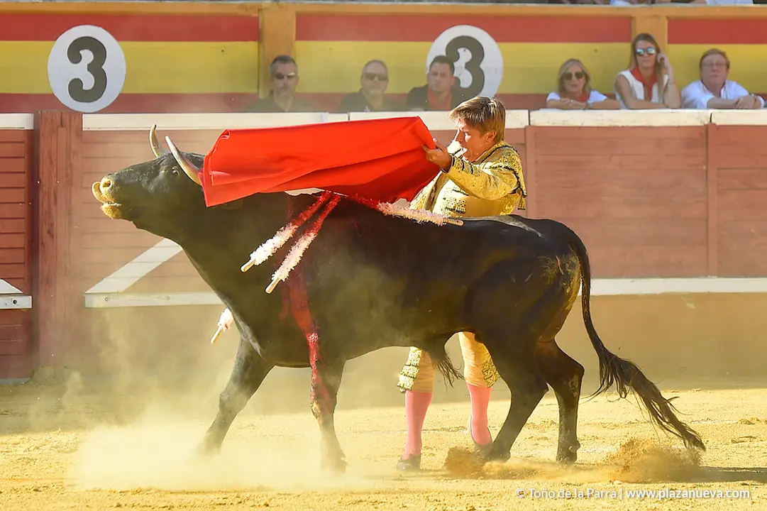 Corrida Toros d&iacute;a 30, Fiestas de Tudela 2022 - 07