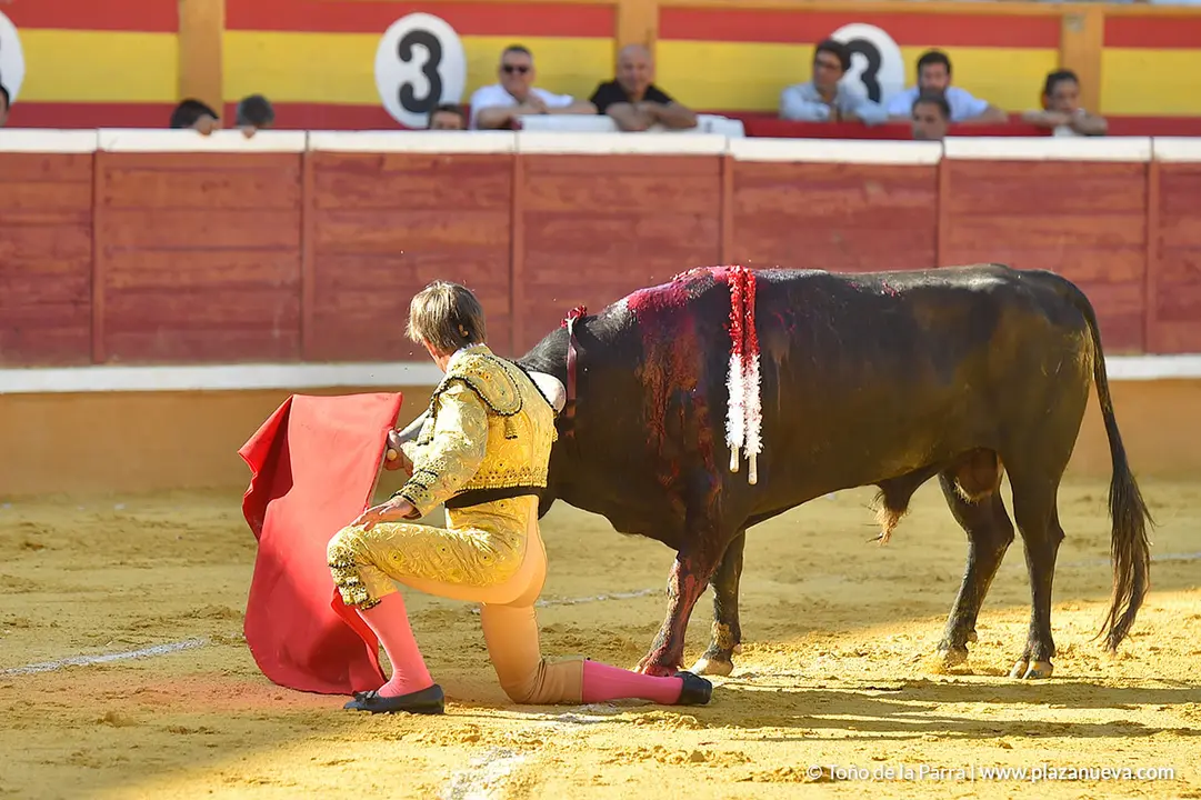 Corrida Toros d&iacute;a 30, Fiestas de Tudela 2022 - 08