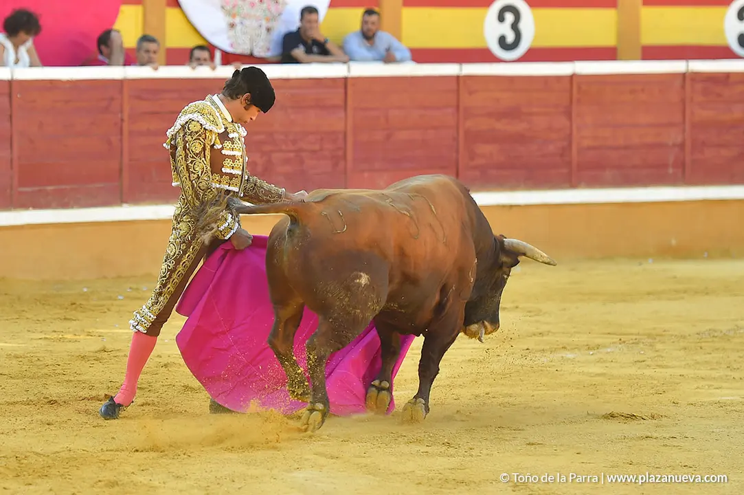 Corrida Toros d&iacute;a 30, Fiestas de Tudela 2022 - 11
