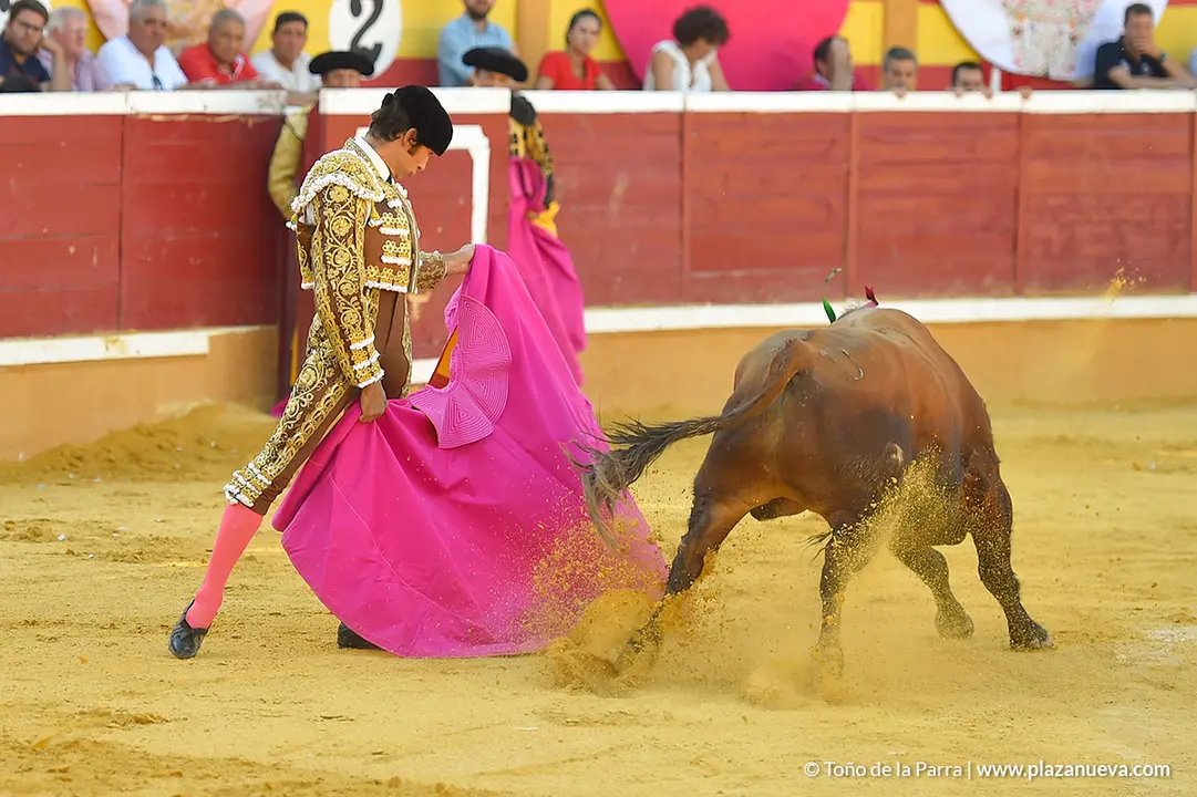 Corrida Toros d&iacute;a 30, Fiestas de Tudela 2022 - 10