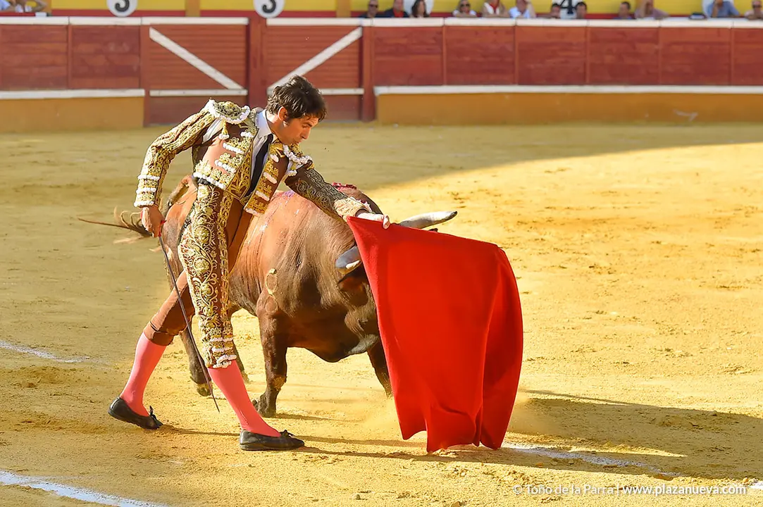 Corrida Toros d&iacute;a 30, Fiestas de Tudela 2022 - 13