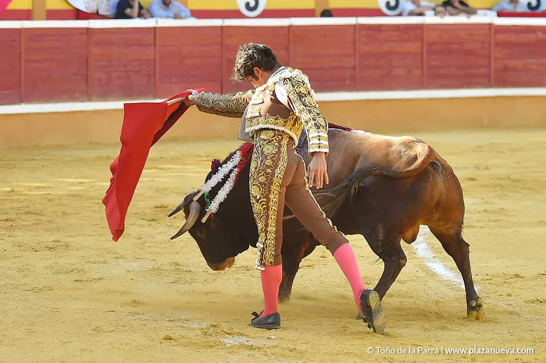 Corrida Toros d&iacute;a 30, Fiestas de Tudela 2022 - 14