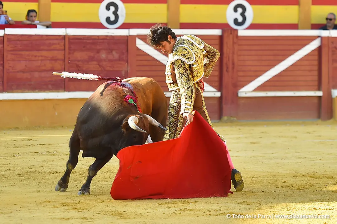 Corrida Toros d&iacute;a 30, Fiestas de Tudela 2022 - 15