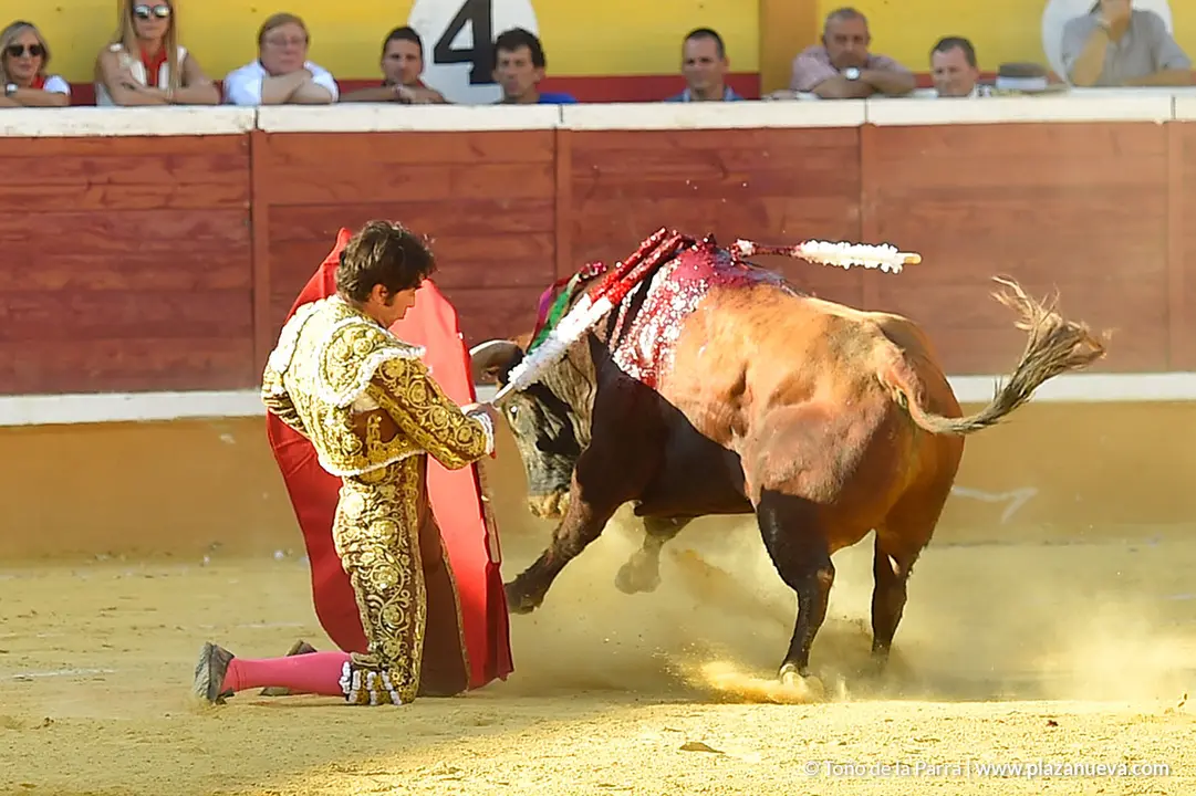 Corrida Toros d&iacute;a 30, Fiestas de Tudela 2022 - 17