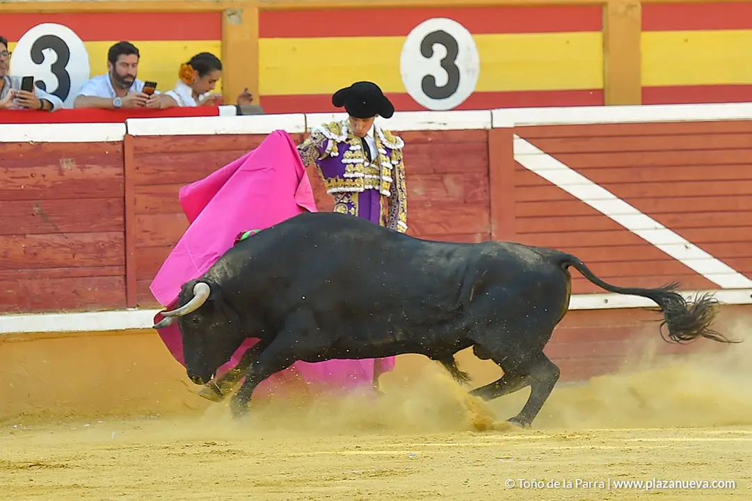 Corrida Toros d&iacute;a 30, Fiestas de Tudela 2022 - 18