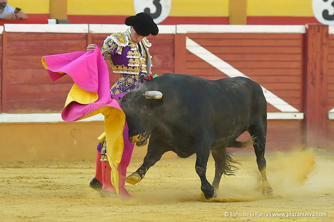 Corrida Toros d&iacute;a 30, Fiestas de Tudela 2022 - 19