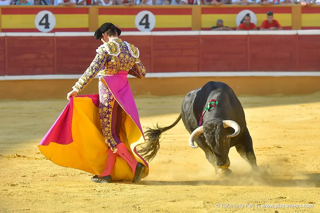 Corrida Toros d&iacute;a 30, Fiestas de Tudela 2022 - 20