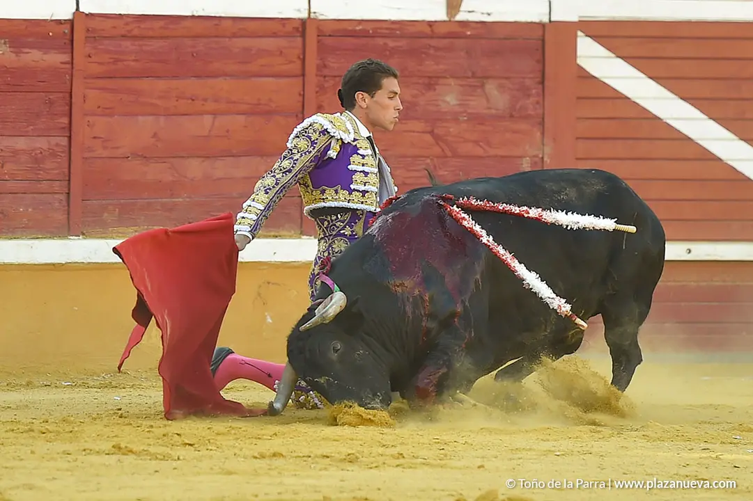 Corrida Toros d&iacute;a 30, Fiestas de Tudela 2022 - 21