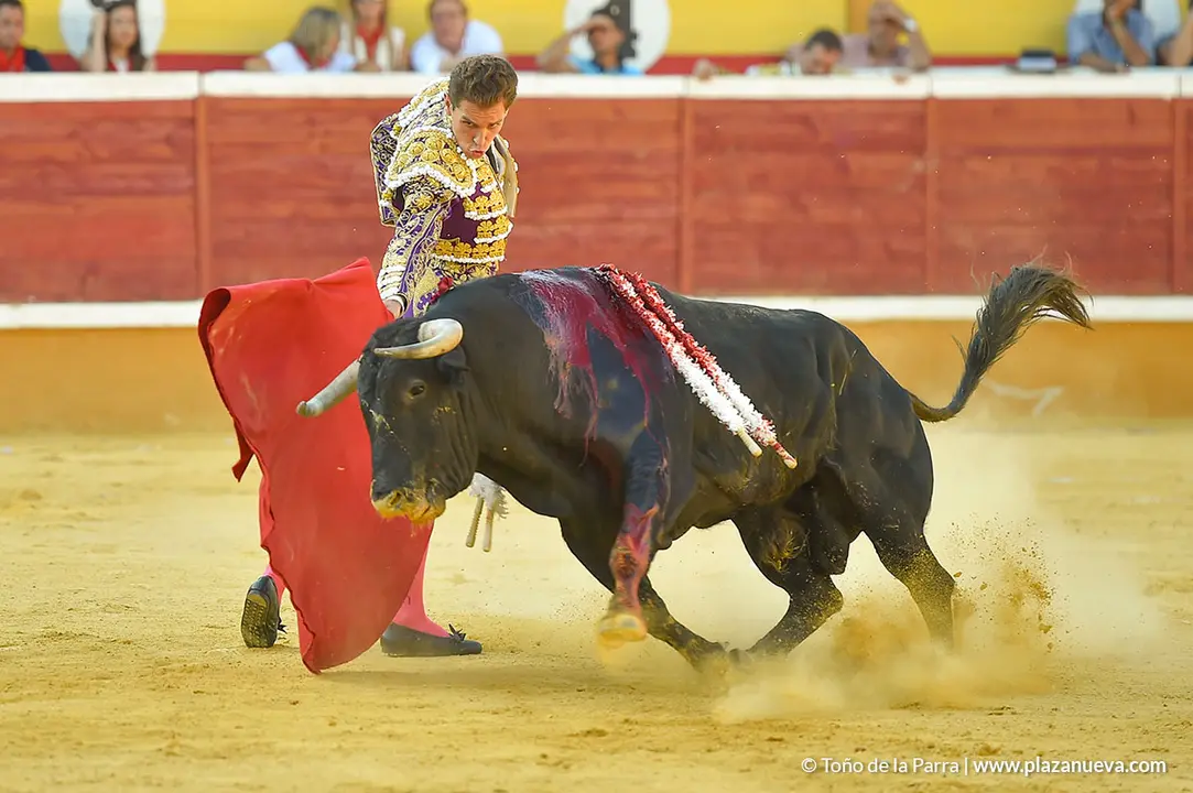 Corrida Toros d&iacute;a 30, Fiestas de Tudela 2022 - 22