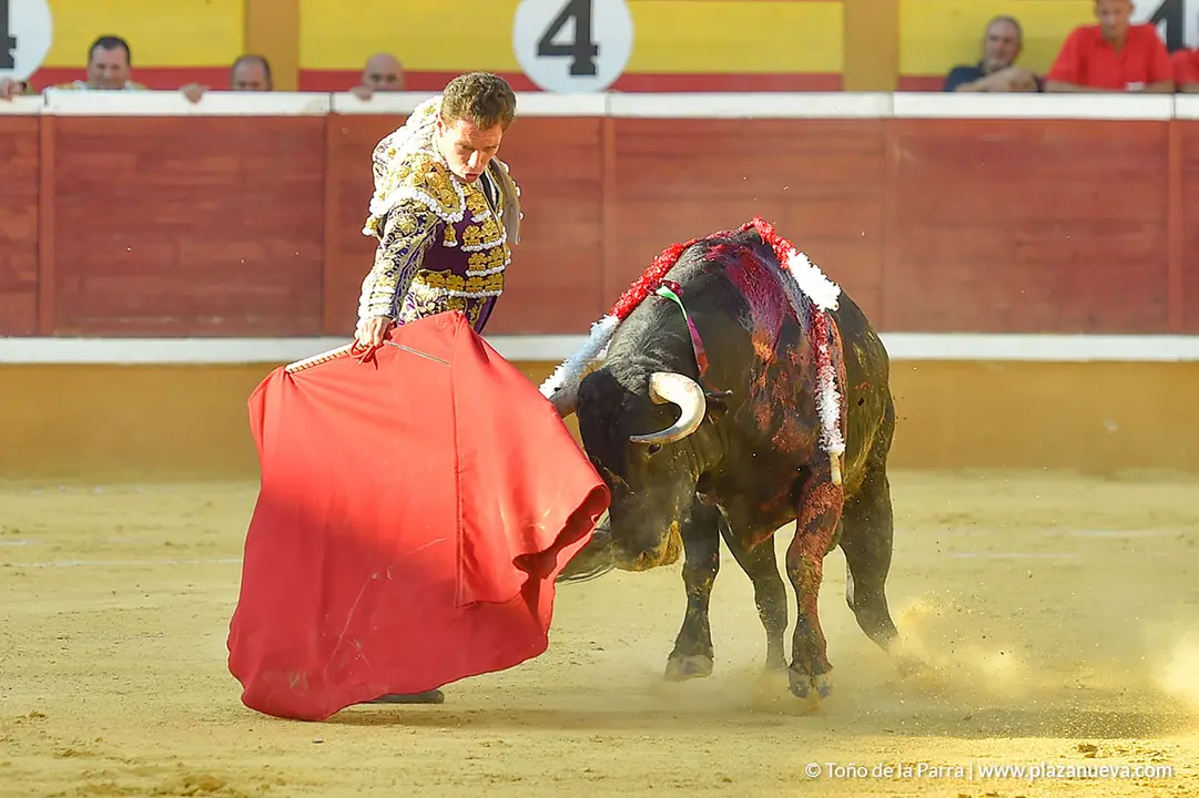 Corrida Toros d&iacute;a 30, Fiestas de Tudela 2022 - 24