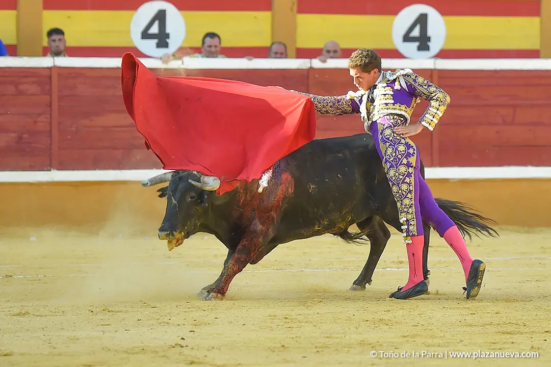 Corrida Toros d&iacute;a 30, Fiestas de Tudela 2022 - 25