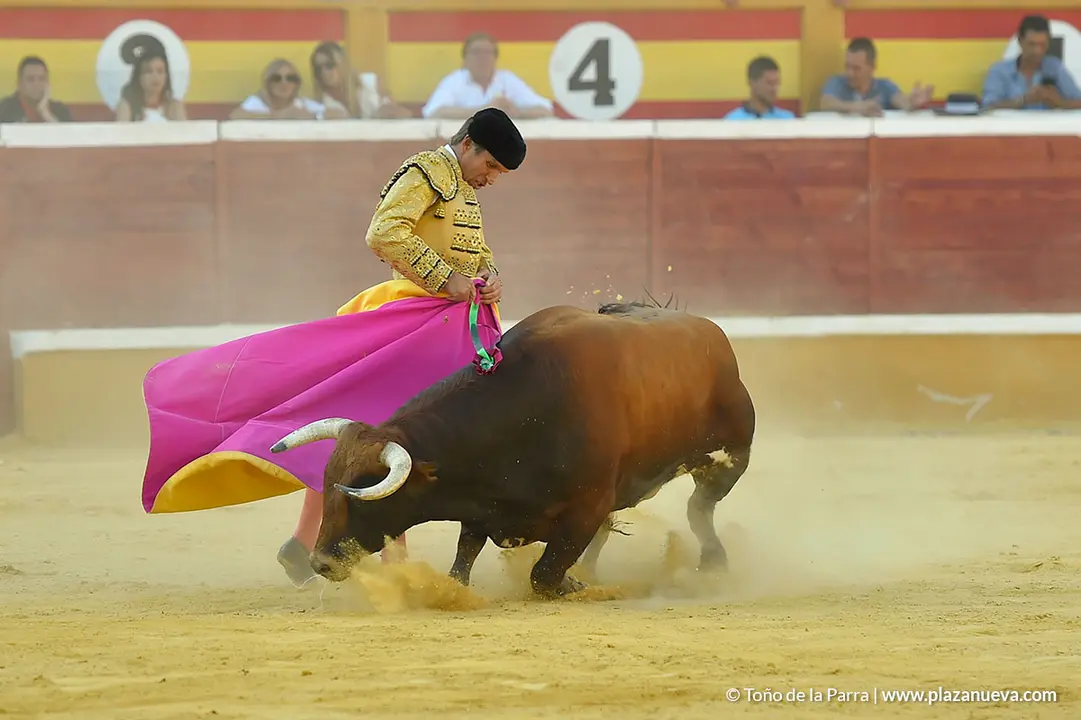 Corrida Toros d&iacute;a 30, Fiestas de Tudela 2022 - 28