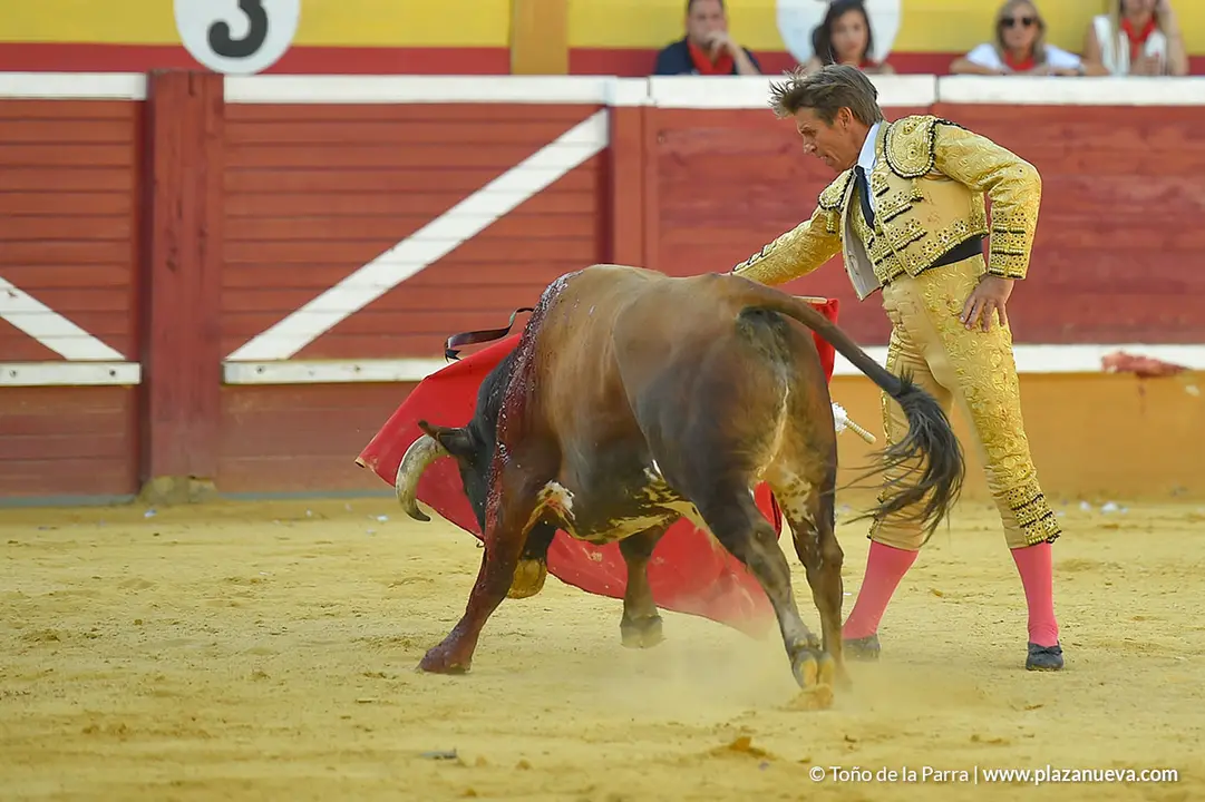 Corrida Toros d&iacute;a 30, Fiestas de Tudela 2022 - 29