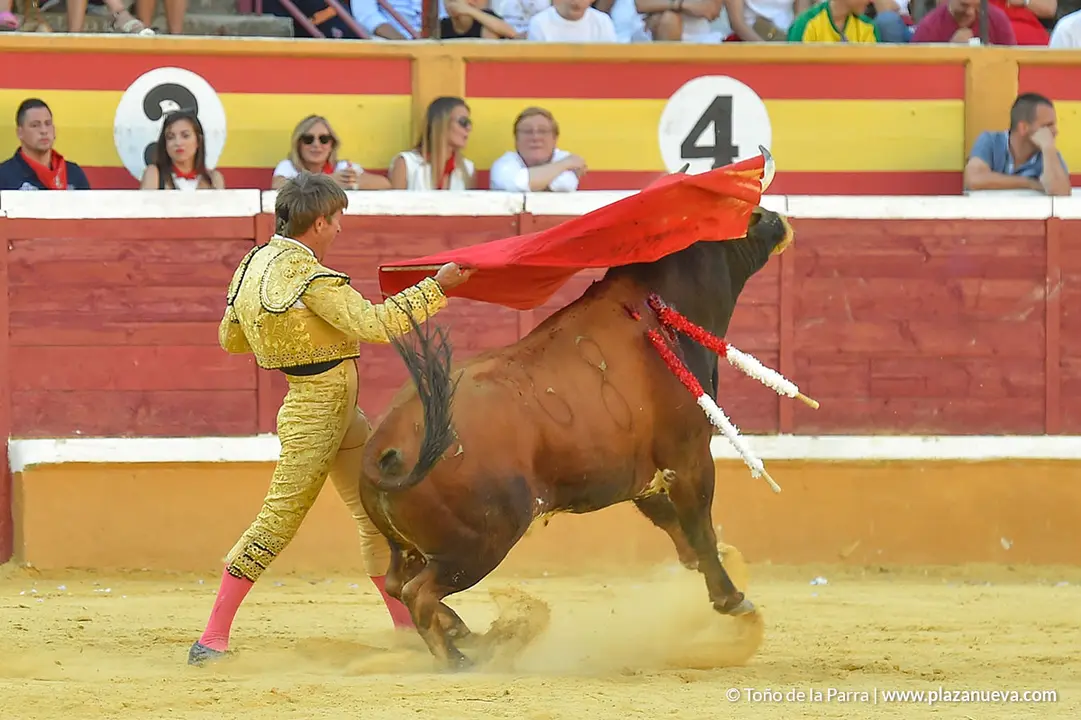 Corrida Toros d&iacute;a 30, Fiestas de Tudela 2022 - 31