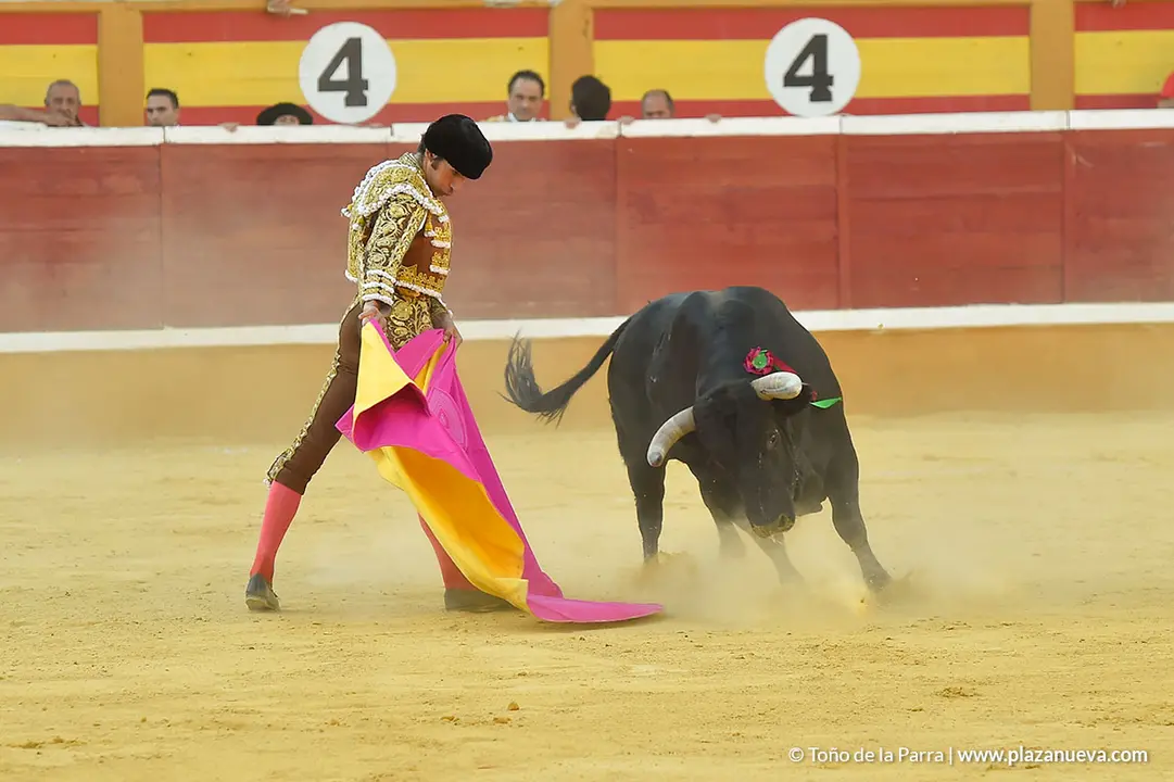 Corrida Toros d&iacute;a 30, Fiestas de Tudela 2022 - 33