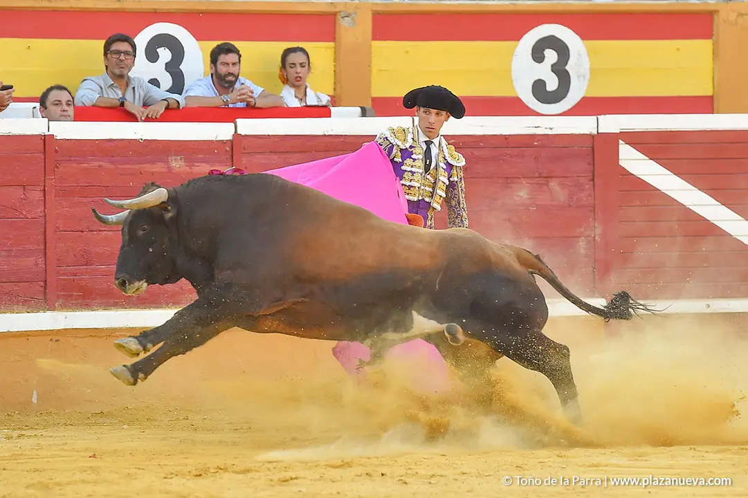 Corrida Toros d&iacute;a 30, Fiestas de Tudela 2022 - 35