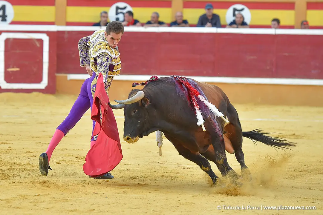 Corrida Toros d&iacute;a 30, Fiestas de Tudela 2022 - 36