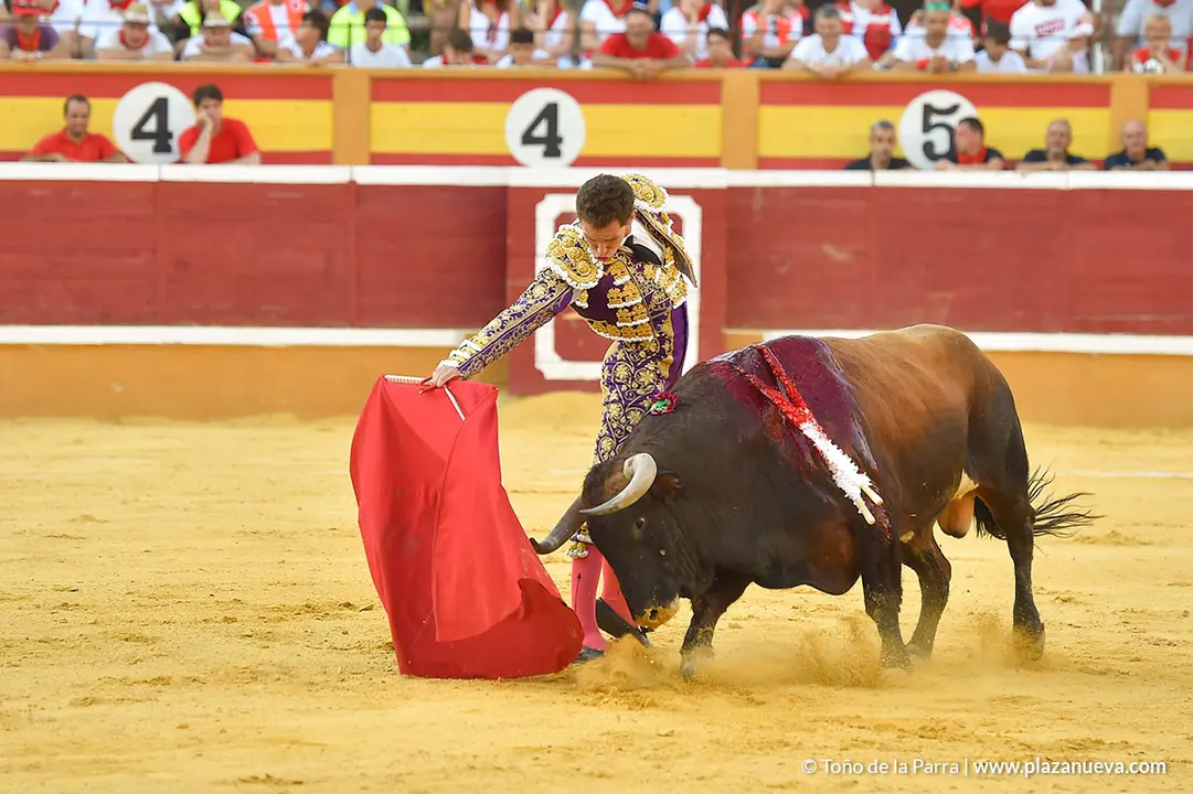Corrida Toros d&iacute;a 30, Fiestas de Tudela 2022 - 37