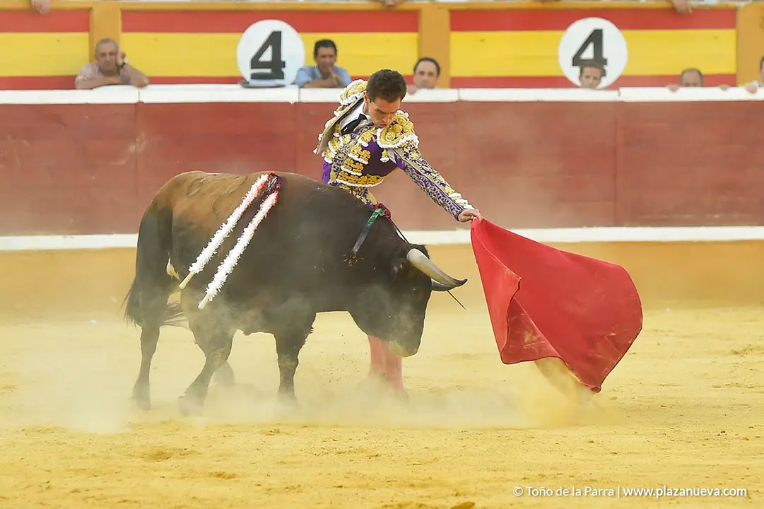 Corrida Toros d&iacute;a 30, Fiestas de Tudela 2022 - 39