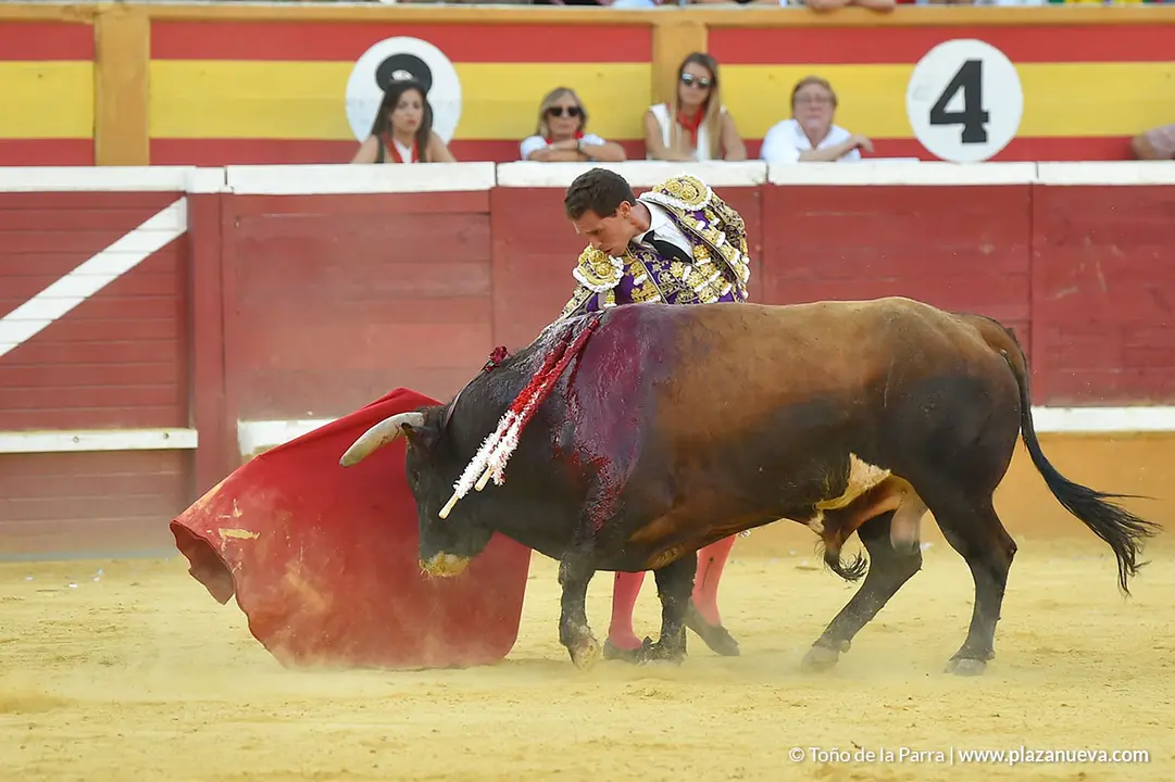 Corrida Toros d&iacute;a 30, Fiestas de Tudela 2022 - 40