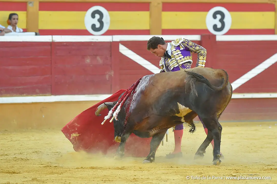 Corrida Toros d&iacute;a 30, Fiestas de Tudela 2022 - 41