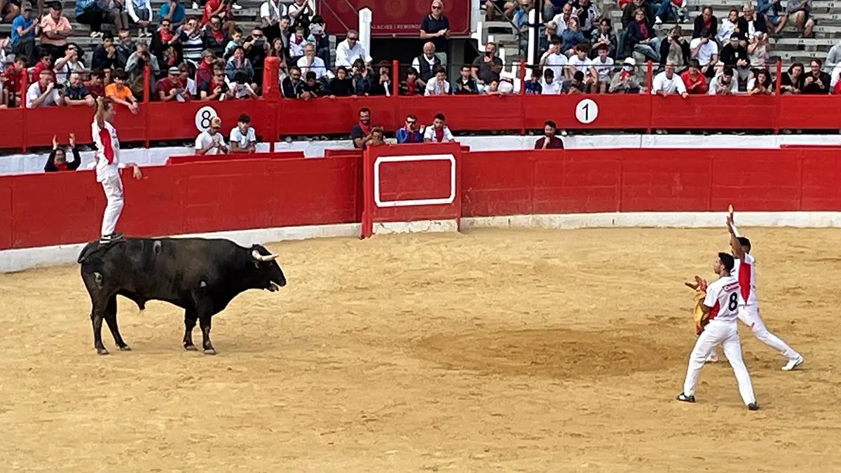 Fiestas de Alfaro 2022 2