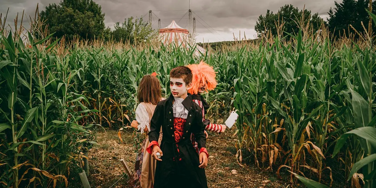 Sendaviva Halloween 2022 Laberinto vegetal