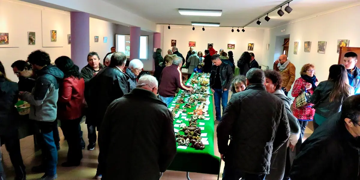 Jornadas Micol&oacute;gicas Cascante
