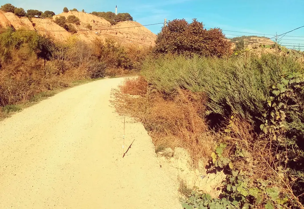 Camino de la Mejana mal estado 2