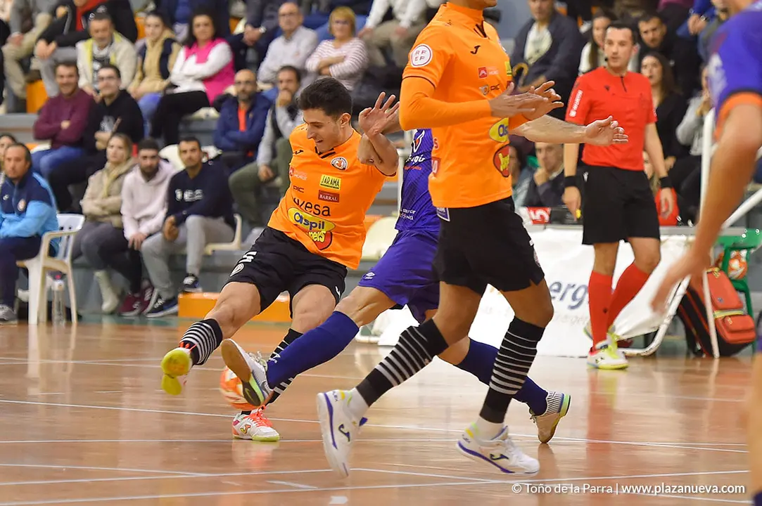 Colocolo_RiberaNavarra_08