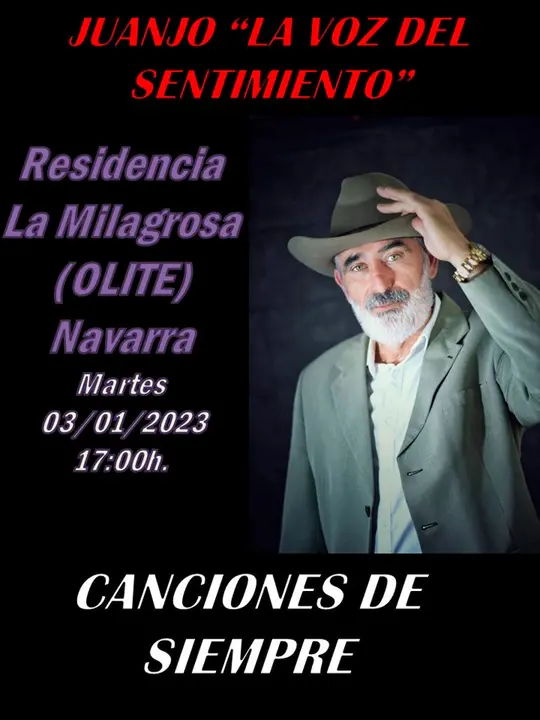Concierto en Olite &lsquo;Canciones de siempre&rsquo; con Juanjo