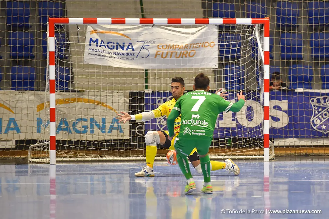XOTA_ASPIL (28)