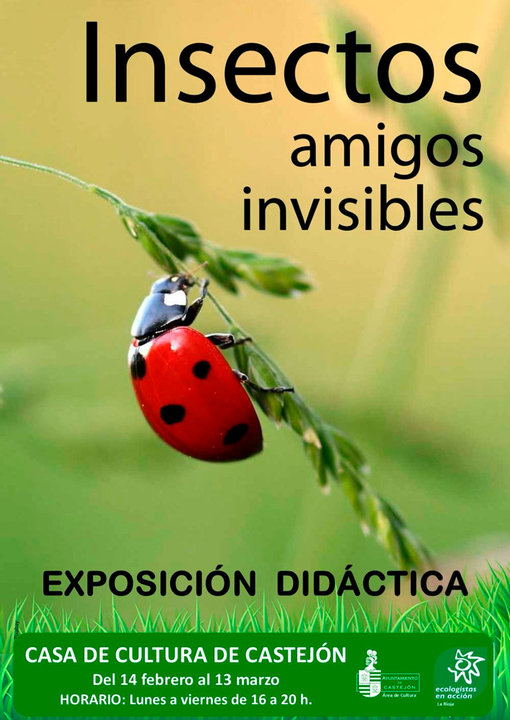 Exposición didáctica en Castejón ‘Insectos, amigos invisibles’