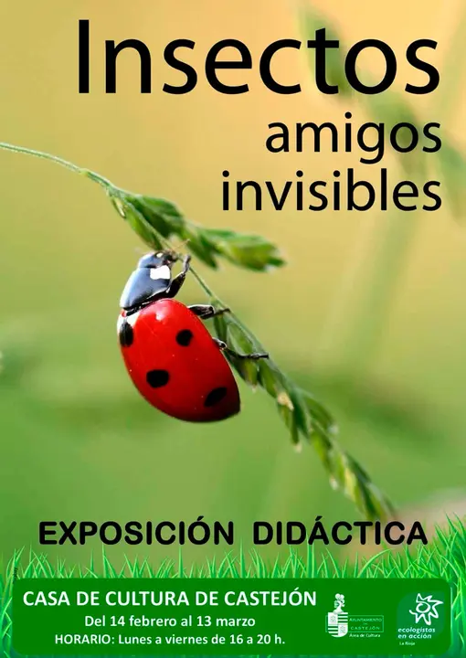 Exposici&oacute;n did&aacute;ctica en Castej&oacute;n &lsquo;Insectos, amigos invisibles&rsquo;