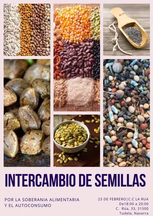 Intercambio de semillas en Tudela