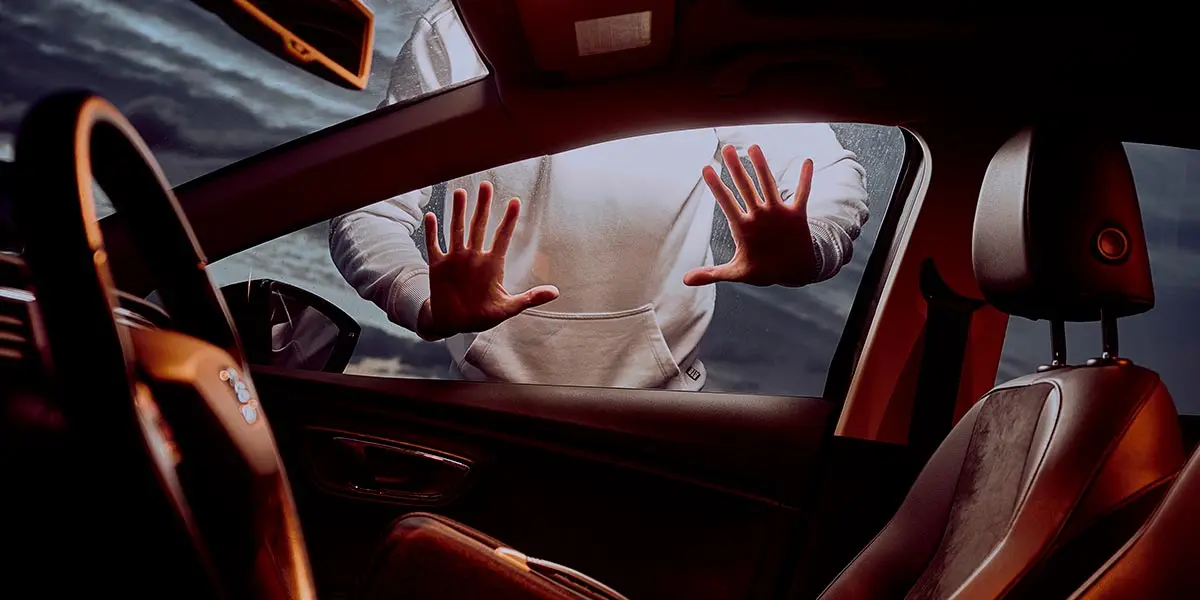 Ladr&oacute;n coche robo