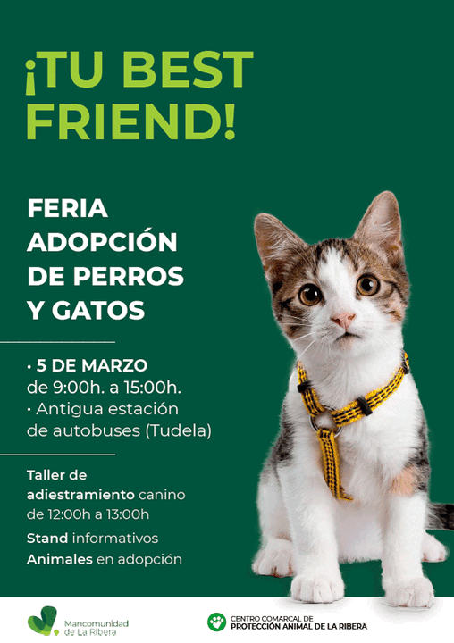 Feria en Tudela de adopci&oacute;n de perros y gatos