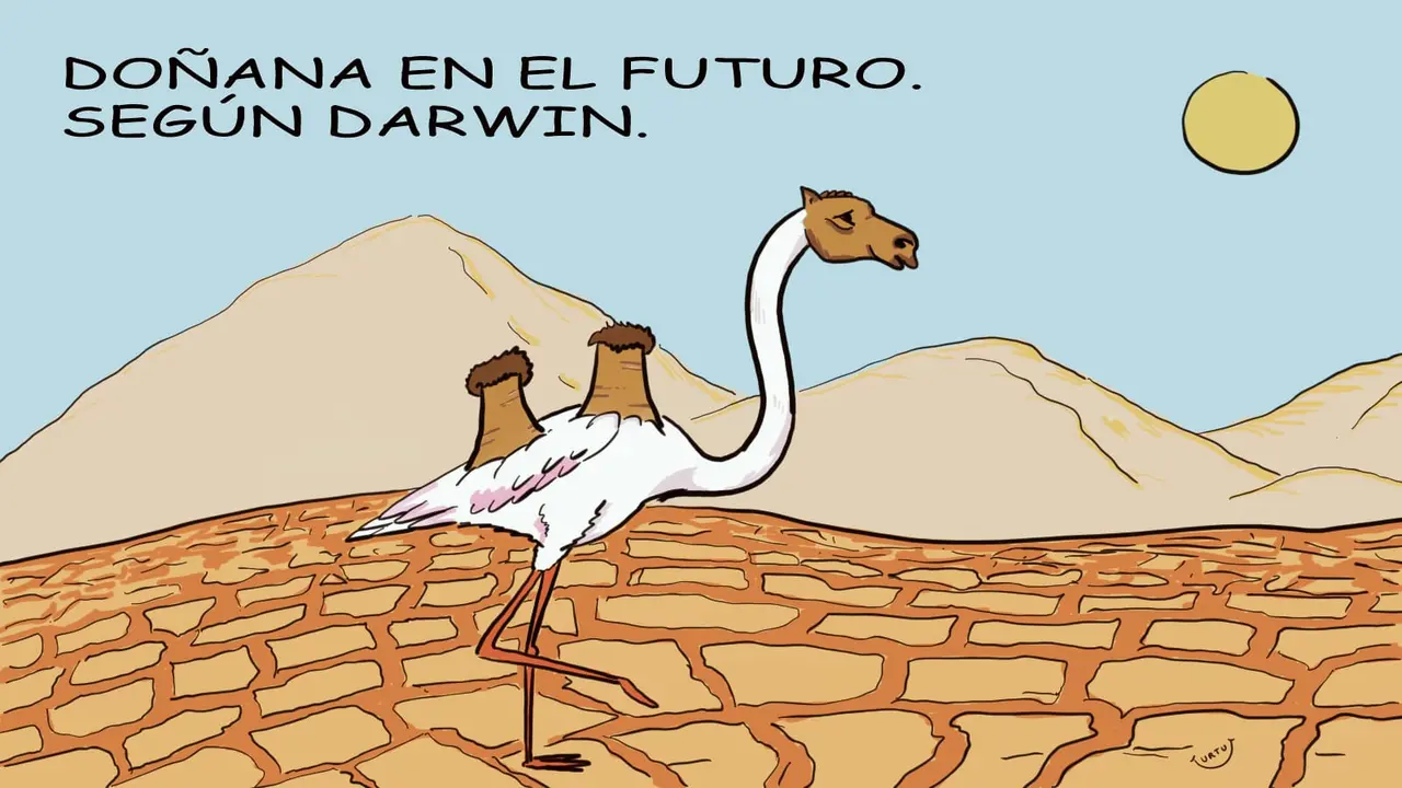 URTU Do&ntilde;ana seg&uacute;n Darwin (17-4-23)