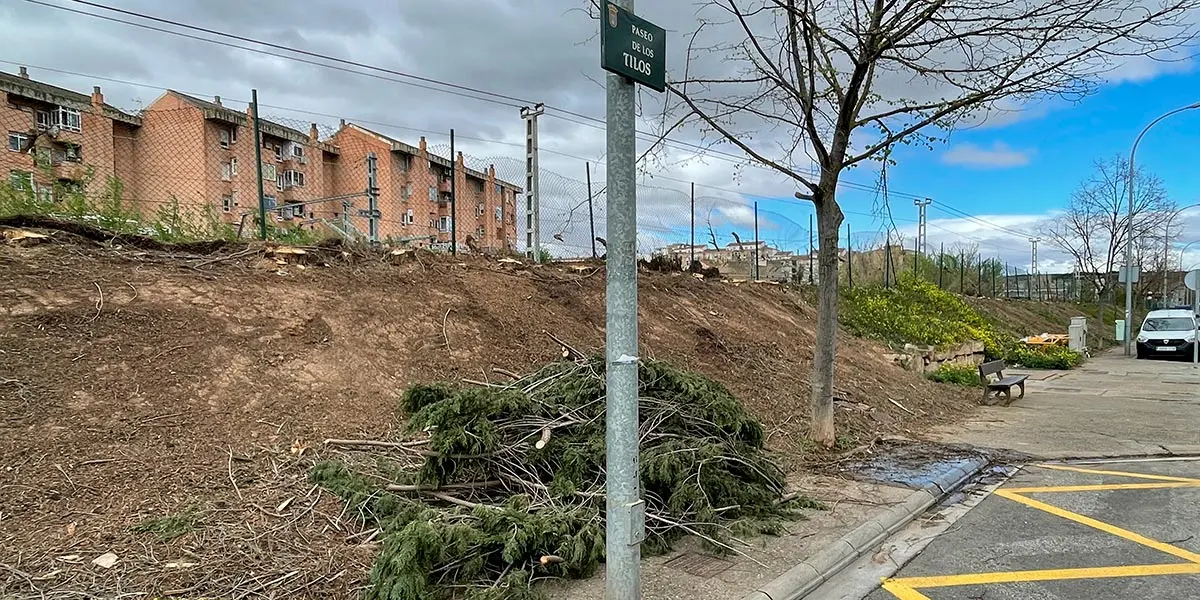 Paseo de los Tilos de Azucarera