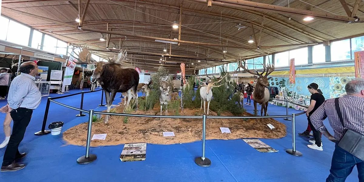 Almazán Feria Venalmazán 2023 3