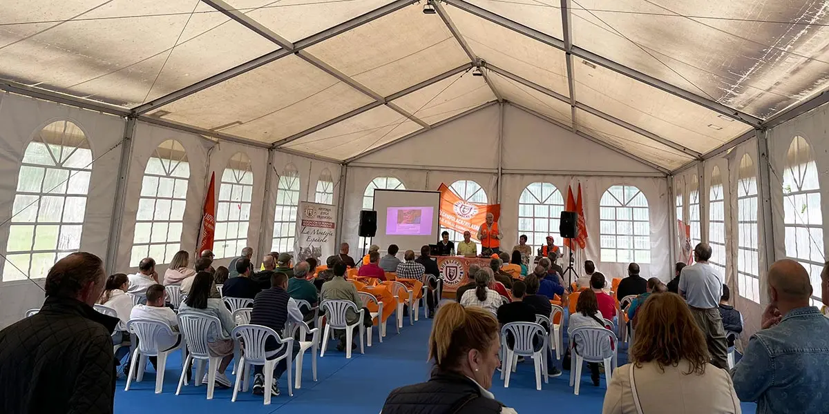 Almazán Feria Venalmazán 2023 10