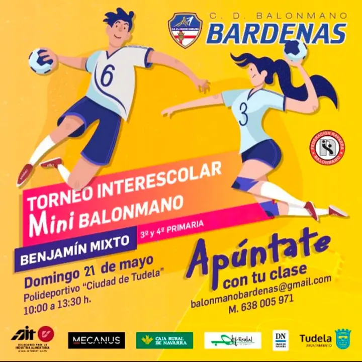 Torneo escolar en Tudela de minibalonmano Benjam&iacute;n Mixto