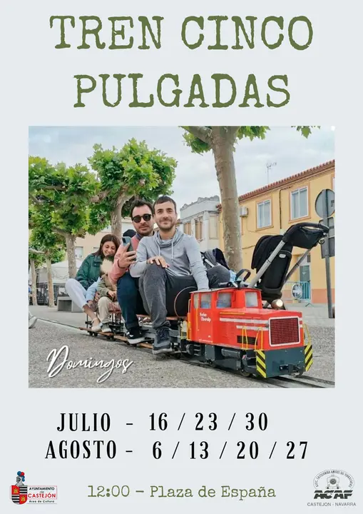 Tren de cinco pulgadas en Castej&oacute;n